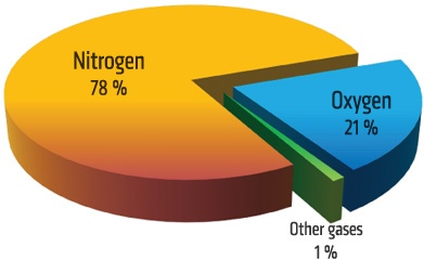 میزان اکسیژن هوا فقط 21% اسد