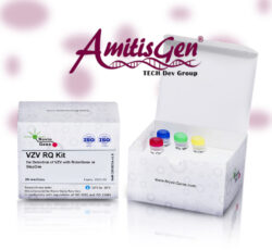 کیت VZV Detection & Quantitation برند نوین ژن