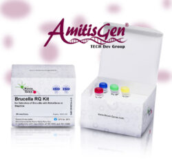 کیت Brucella Detection Kit از برند نوین ژن