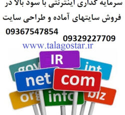 سرمایه گذاری با سود بالا در شغل اینترنتی و شراکت در کار پرسود