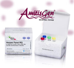 کیت تشخیص هرپس (CMV/EBV/HSV-1/HSV-2/VZV) نوین ژن – سریع، دقیق، مطمئن!