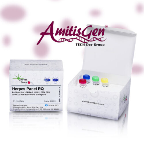 کیت تشخیص هرپس (CMV/EBV/HSV-1/HSV-2/VZV) نوین ژن – سریع، دقیق، مطمئن!