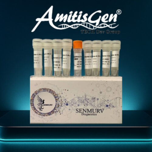 کیت تشخیص HBV