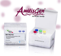 BK Virus Detection & Quantitation Kit – Novin Gene