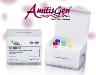 BK Virus Detection & Quantitation Kit – Novin Gene
