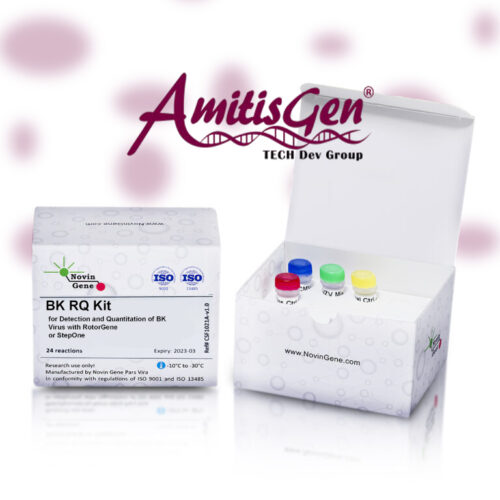 BK Virus Detection & Quantitation Kit – Novin Gene