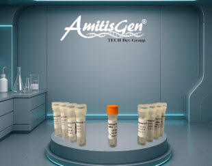 کیت تشخیص HPV