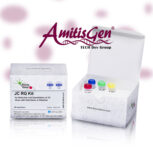 JC Virus Detection & Quantitation Kit