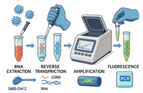 استفاده از دستگاه PCR در تشخیص مولکولی ویروس‌ها