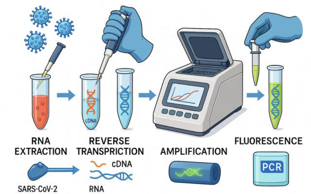 استفاده از دستگاه PCR در تشخیص مولکولی ویروس‌ها